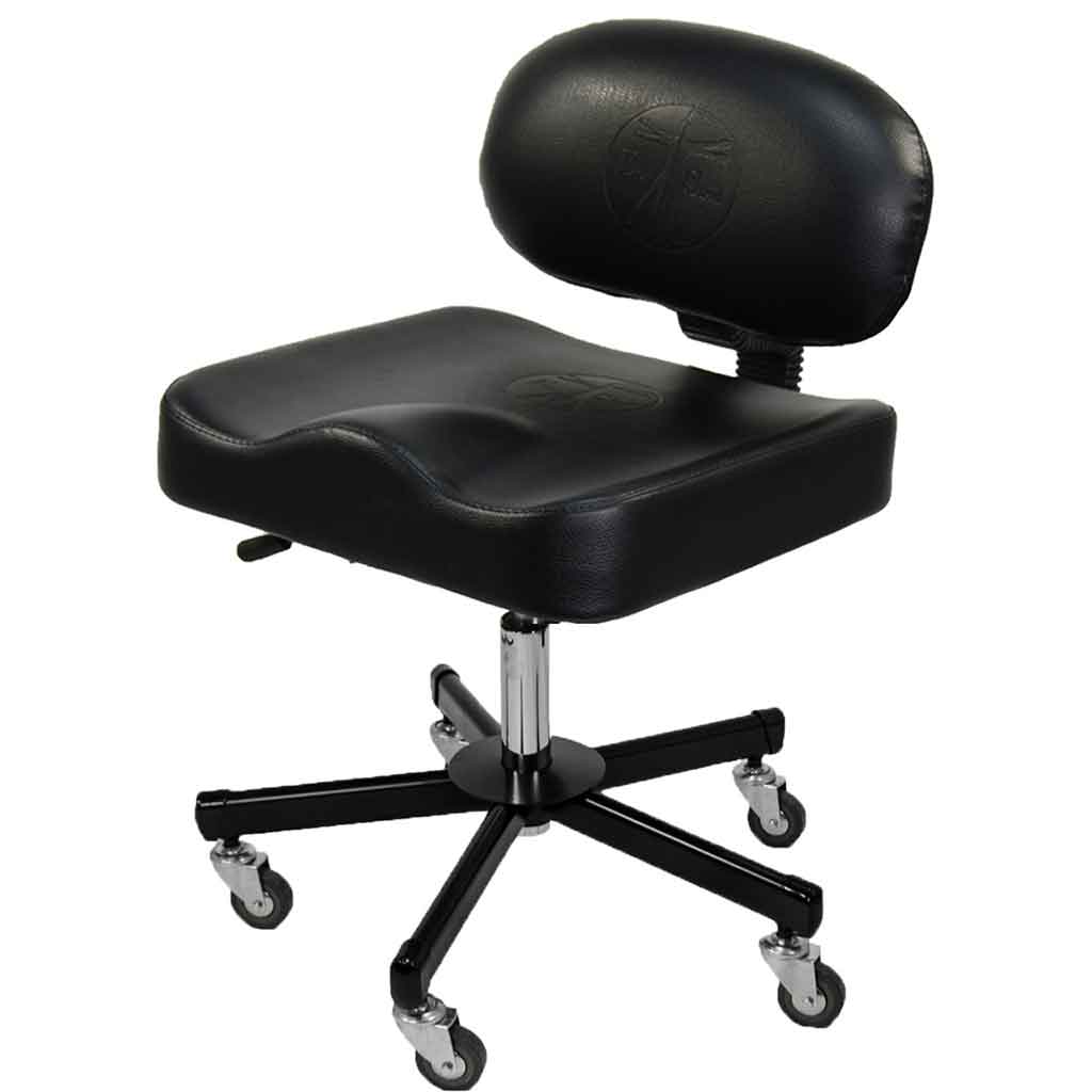 All Purpose Ergonomic Back Support Chair- InkBed