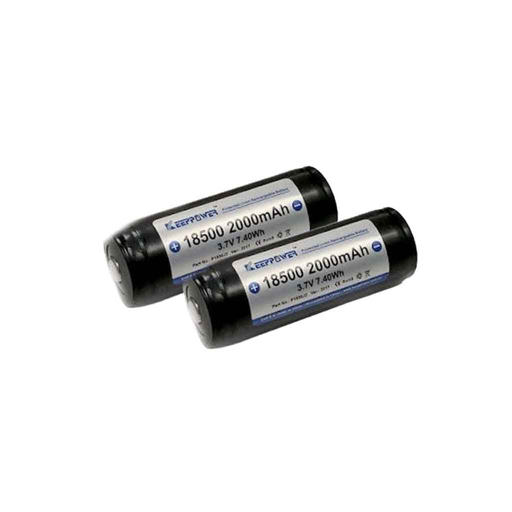 2000mAh Panasonic Lithium Ion Battery | 2 Pack