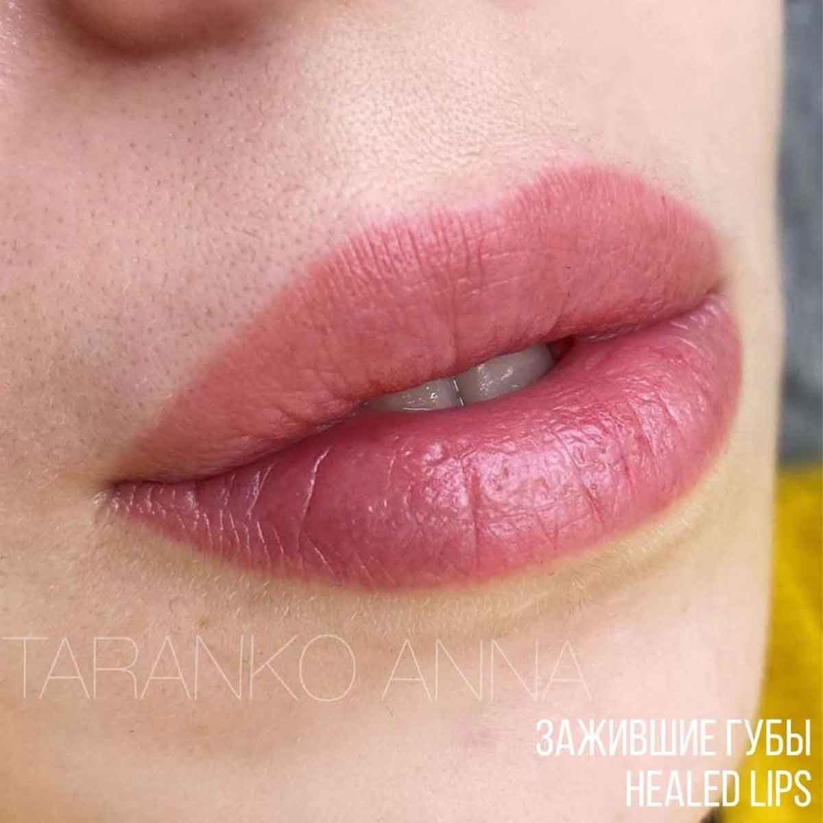 Brovi XOXO Lip Pigment - Cocoa Beans