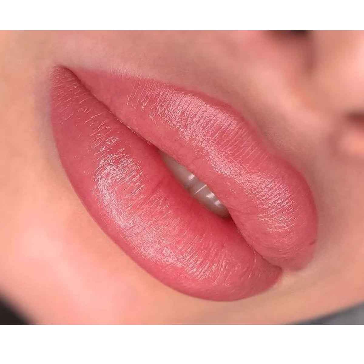 Brovi XOXO Lip Pigment - Dusty Rose