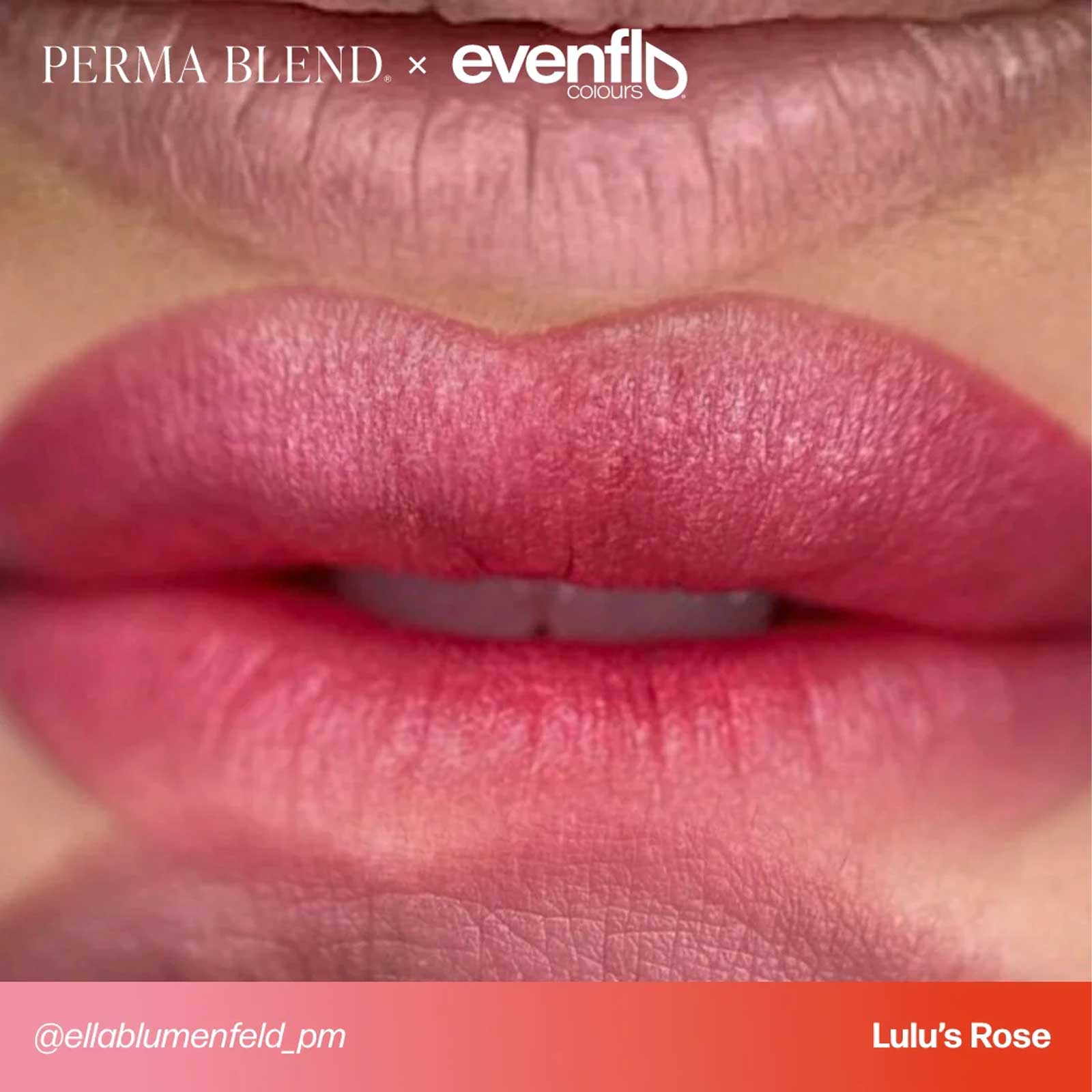 LuLu's Rose Lip Evenflo Pigment - Element Tattoo Supply